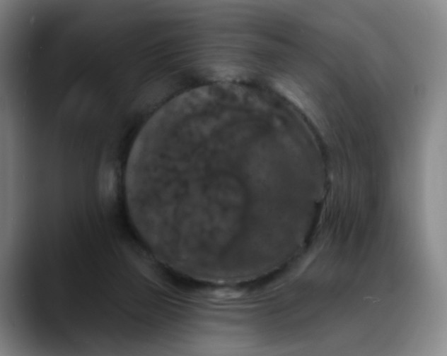 X0000088690165200706141418