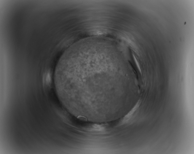 X0000088690166200706141418