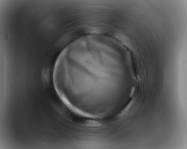 X0000088690167200706141418