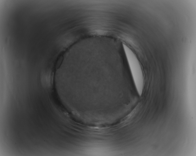 X0000088690168200706141418