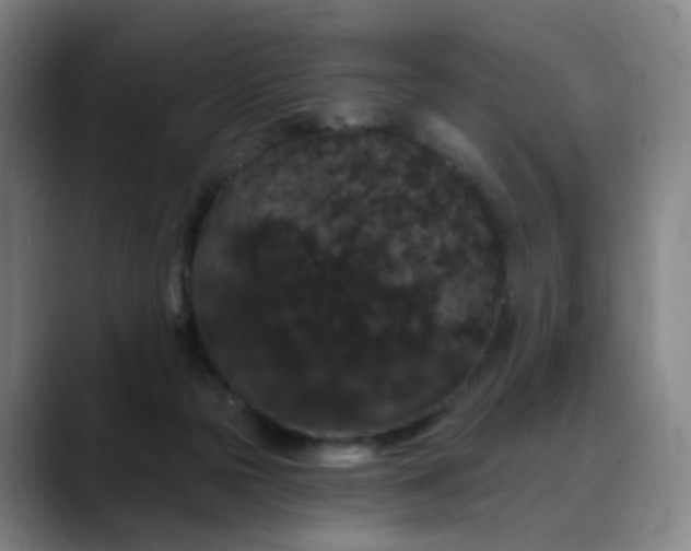 X0000088690169200706141418