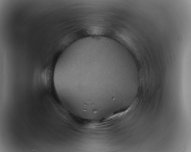 X0000088690171200706141418