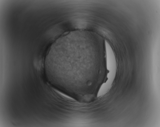X0000088690172200706141418