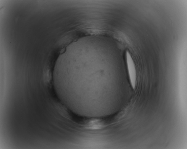 X0000088690173200706141419