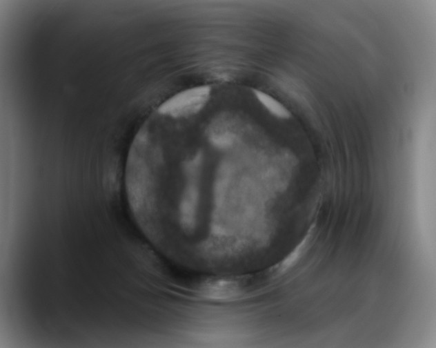 X0000088690174200706141419