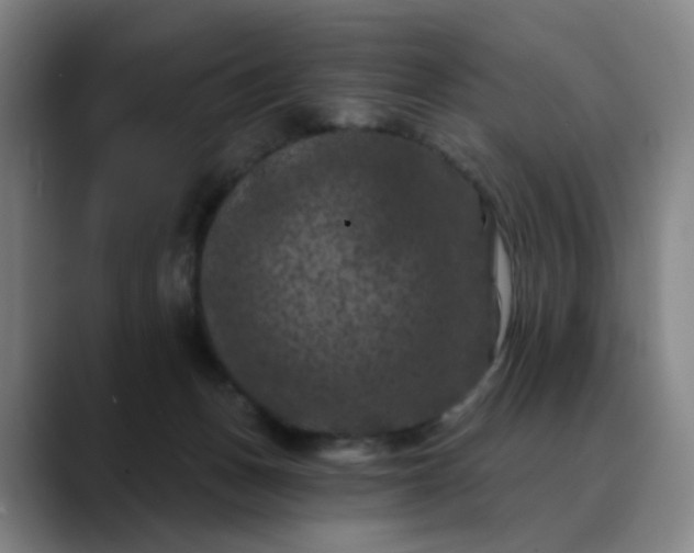 X0000088690175200706141419