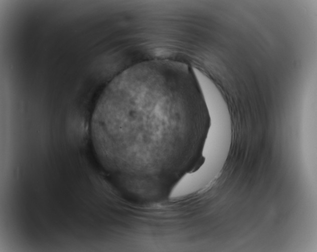 X0000088690176200706141419