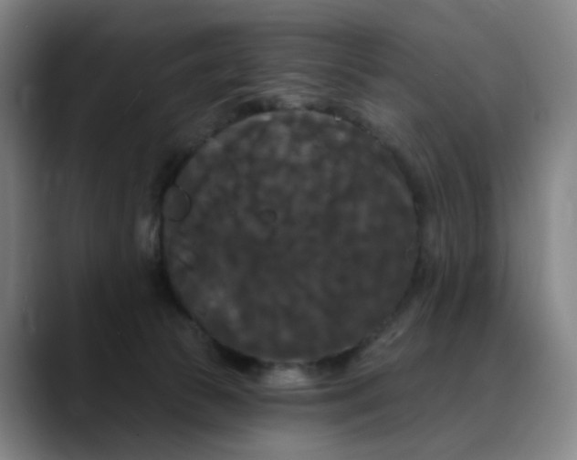 X0000088690177200706141419