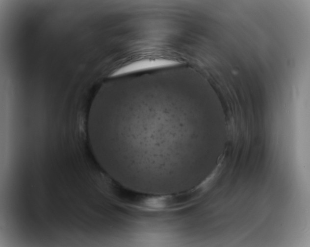 X0000088690178200706141419