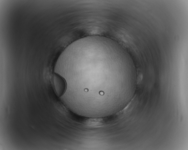 X0000088690179200706141419