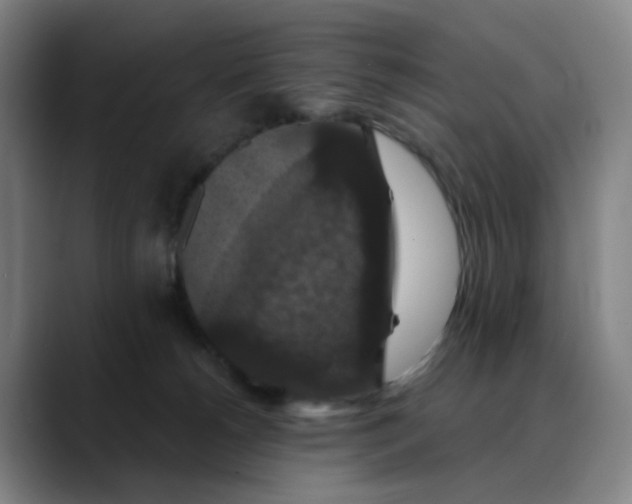 X0000088690180200706141419