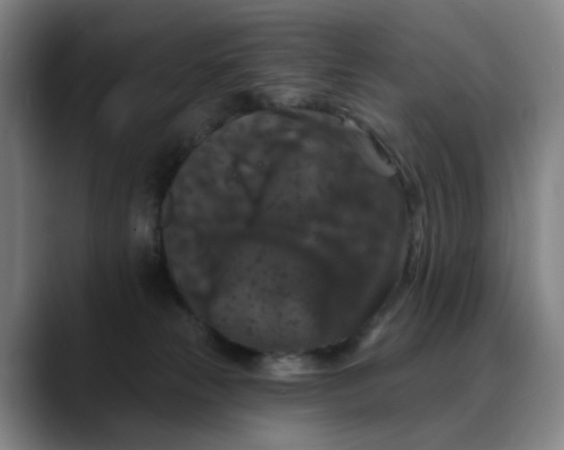 X0000088690181200706141419