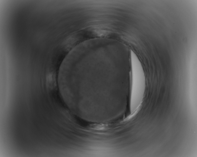 X0000088690182200706141419