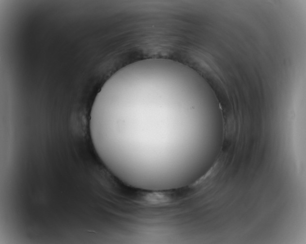 X0000088690183200706141419
