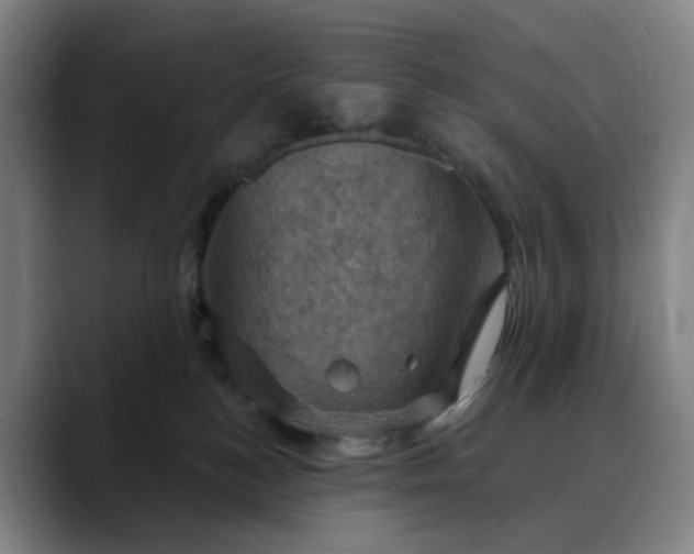 X0000088690184200706141419