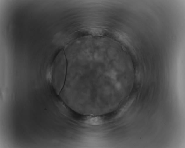 X0000088690185200706141419