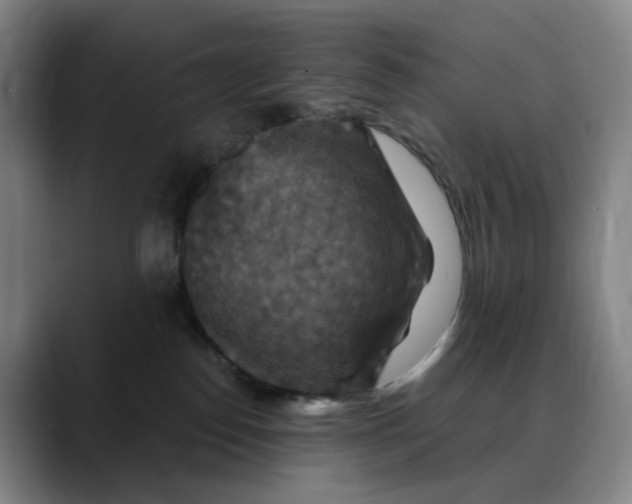 X0000088690186200706141419