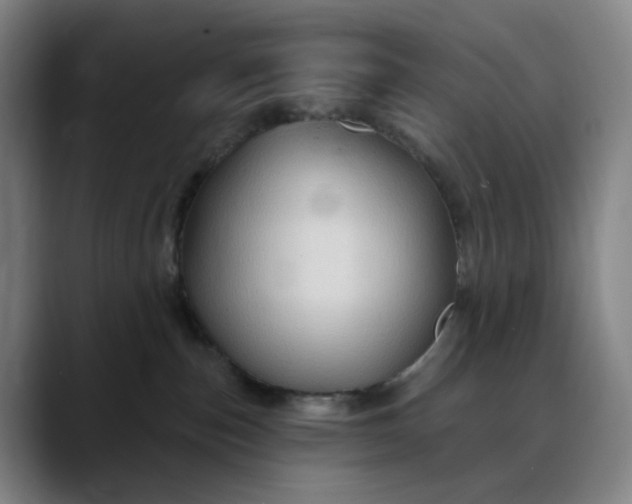 X0000088690187200706141419
