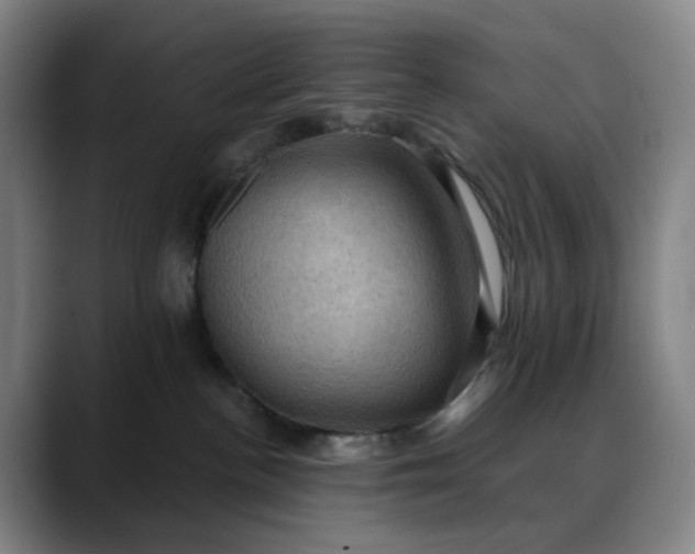 X0000088690188200706141419