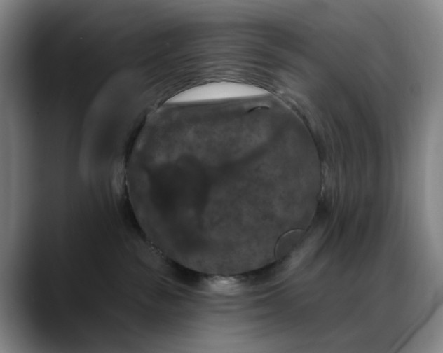 X0000088690189200706141419