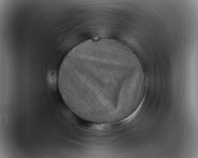 X0000088690190200706141419