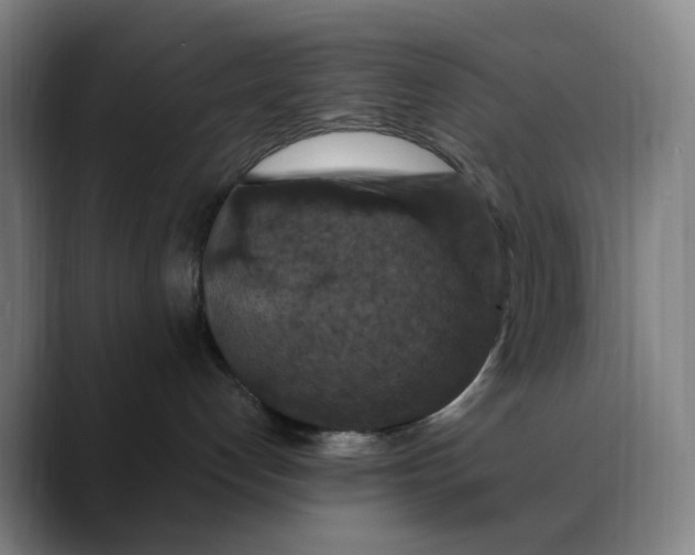 X0000088690192200706141419