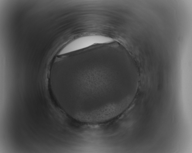 X0000088690194200706141418