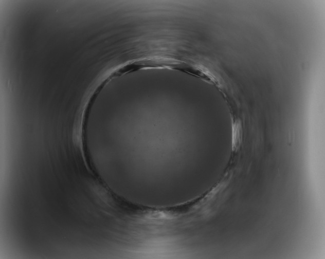 X0000088690195200706141418