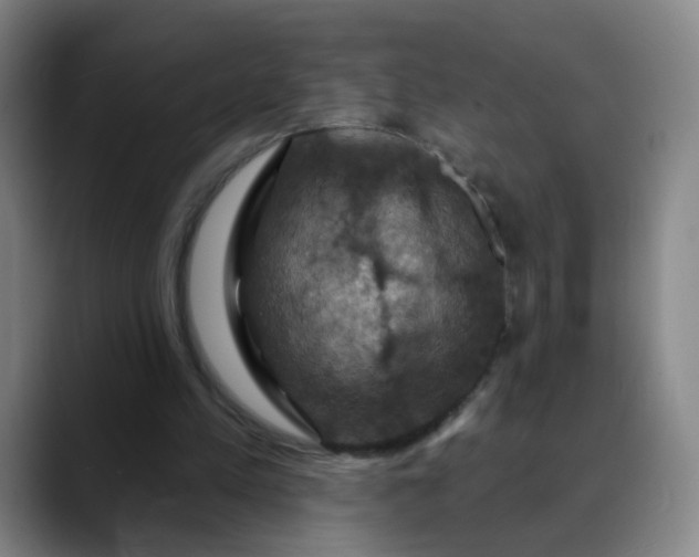 X0000088690197200706141418