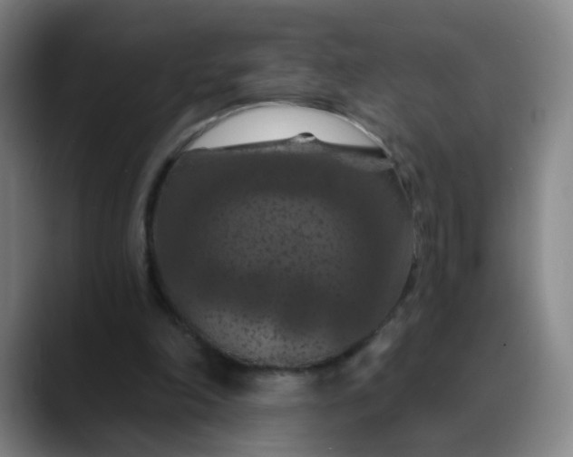 X0000088690198200706141418