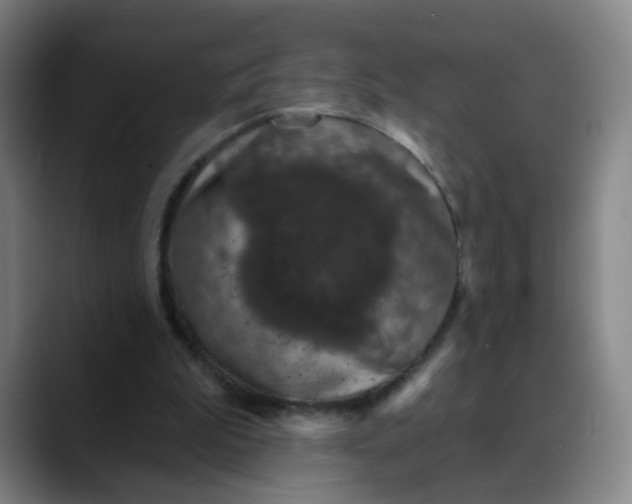 X0000088690199200706141418