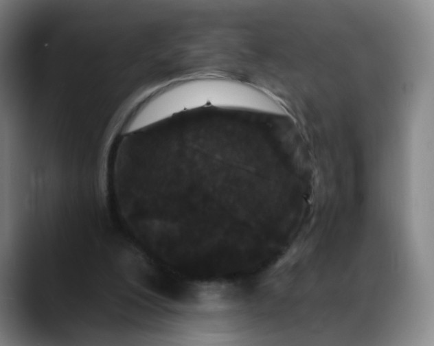 X0000088690200200706141418