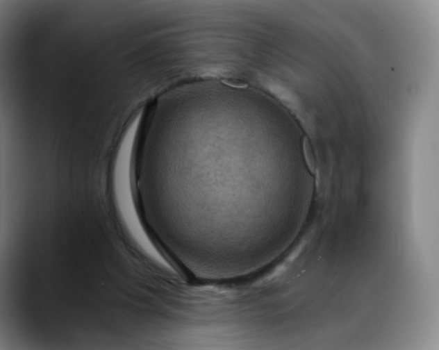 X0000088690201200706141418