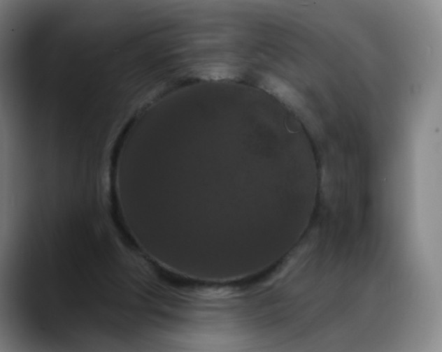 X0000088690202200706141418