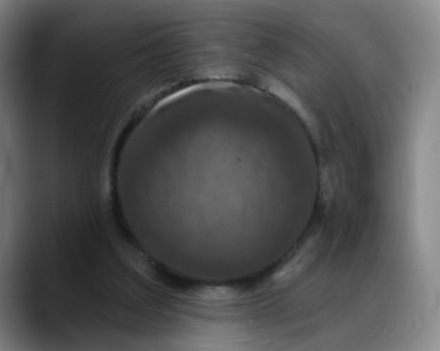 X0000088690203200706141418