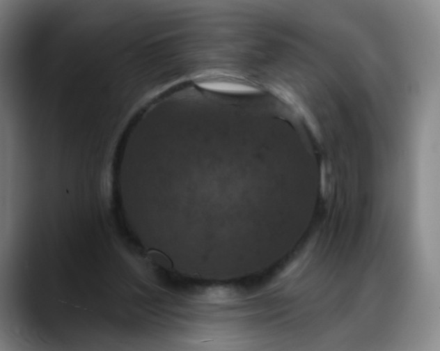 X0000088690204200706141418