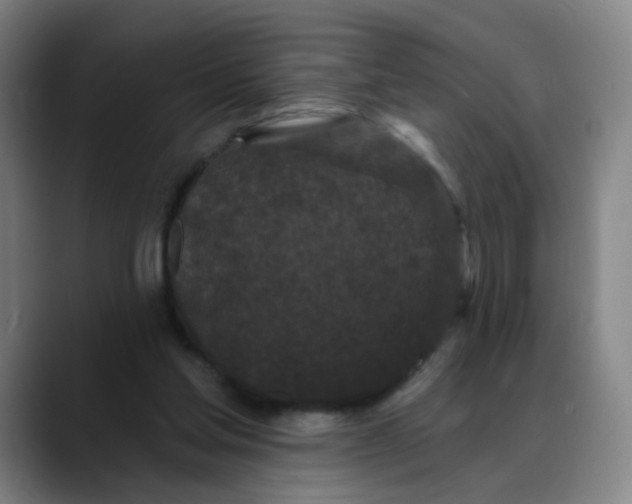 X0000088690205200706141418