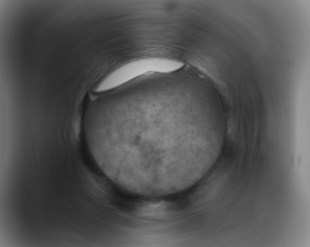 X0000088690206200706141418