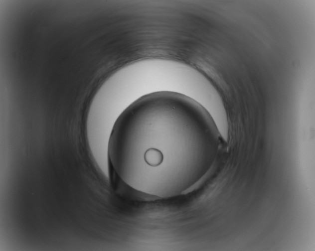 X0000088690207200706141418