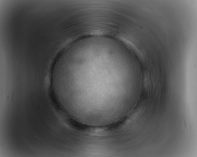 X0000088690208200706141418