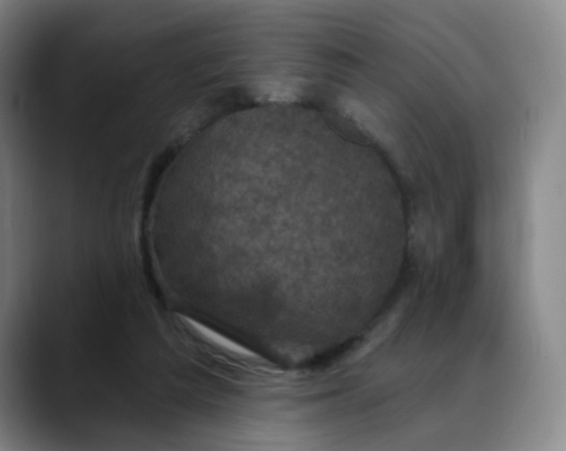 X0000088690209200706141418