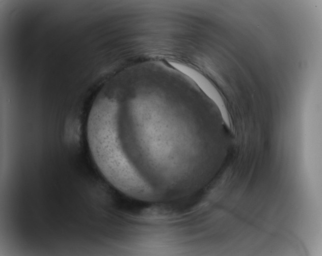 X0000088690211200706141418