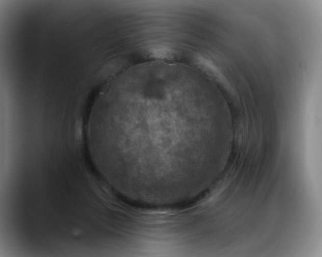 X0000088690213200706141418