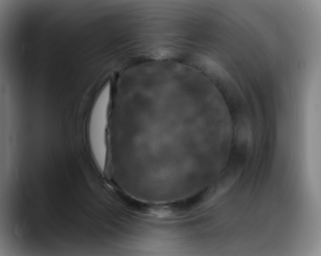 X0000088690214200706141418
