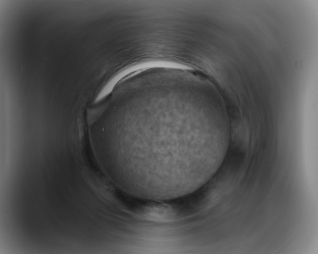 X0000088690215200706141418
