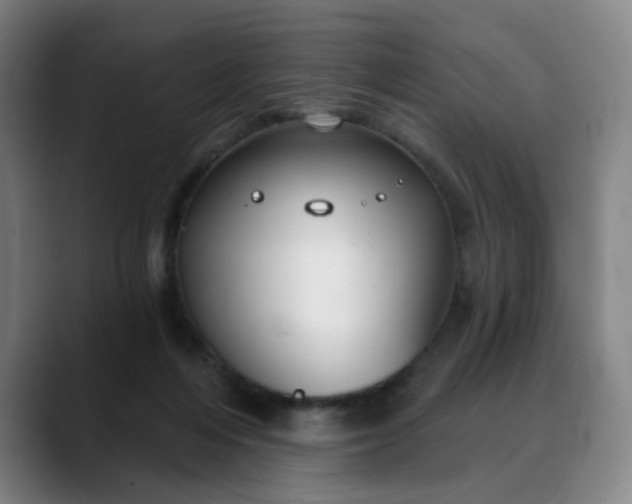 X0000088690216200706141418