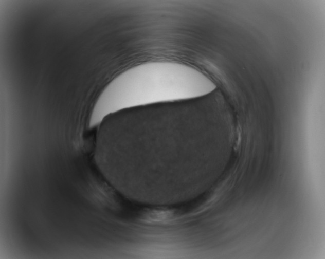 X0000088690217200706141418