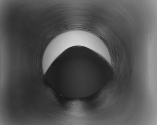 X0000088690219200706141418