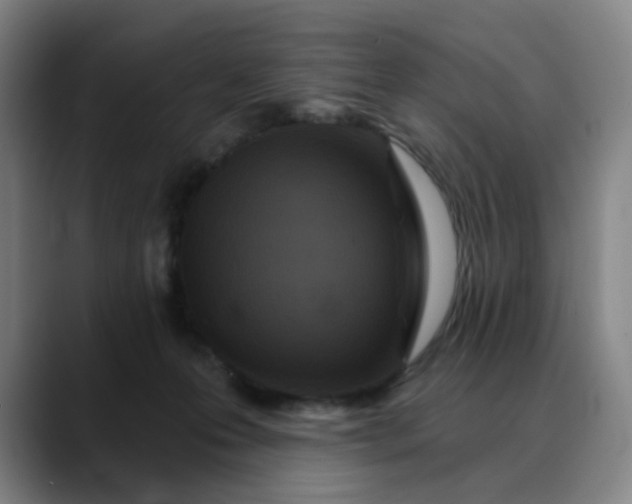 X0000088690223200706141418