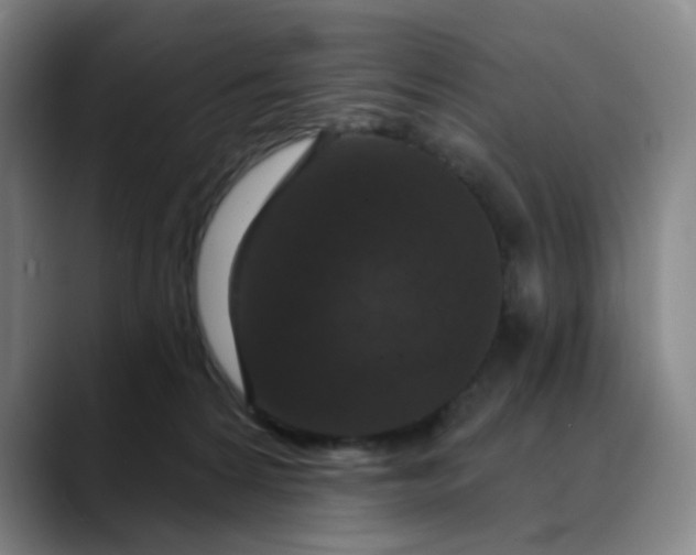 X0000088690224200706141418